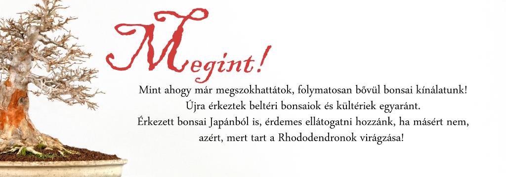 belteri bonsai es japan bonsai fak erkezese bonsai kerteszetunkbe